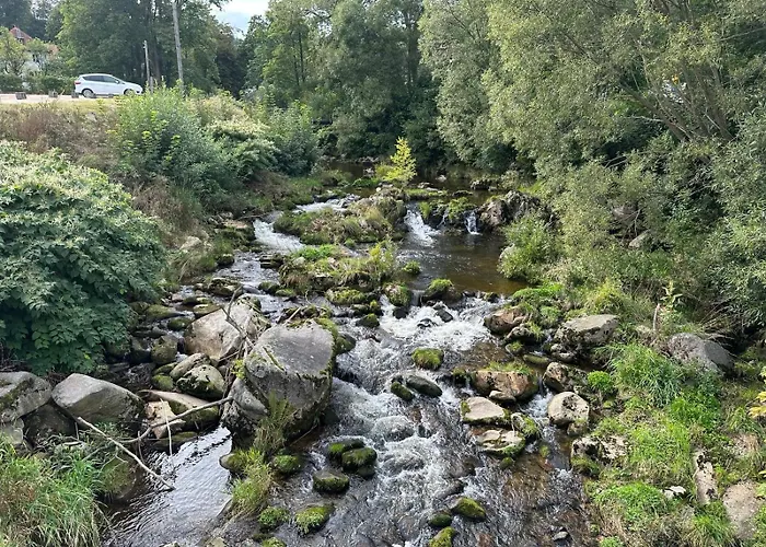 Luksusowy Joker, Osada Gorska Ul Hoffmana 19, שצ'קלארסקה פוראובה